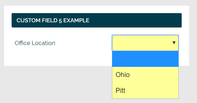 custom field 3